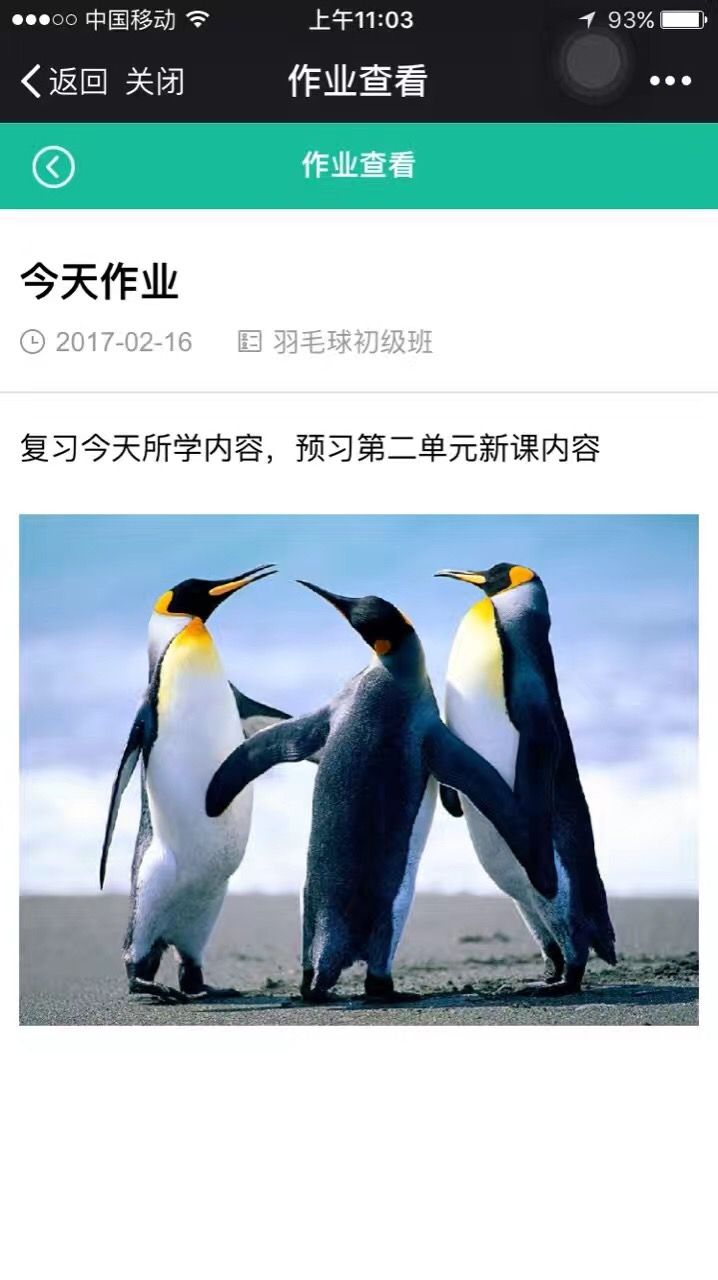 教师APP作业查看界面